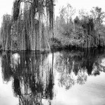 © Dimitris Ouzounis