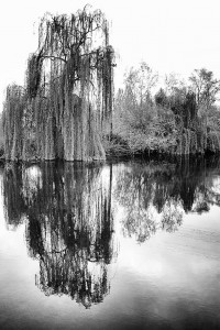 © Dimitris Ouzounis