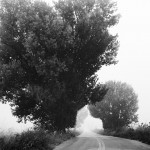 © Dimitris Ouzounis