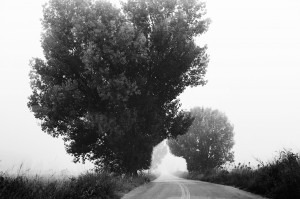 © Dimitris Ouzounis