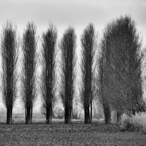 © Dimitris Ouzounis