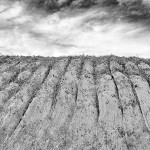 © Dimitris Ouzounis