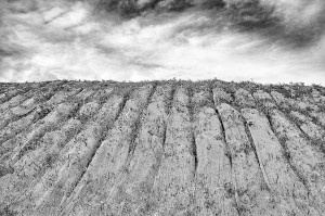 © Dimitris Ouzounis