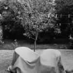 © Dimitris Ouzounis