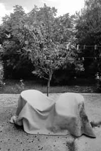 © Dimitris Ouzounis