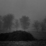 © Dimitris Ouzounis