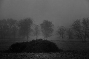 © Dimitris Ouzounis