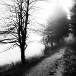 © Dimitris Ouzounis