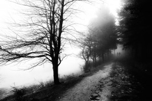 © Dimitris Ouzounis