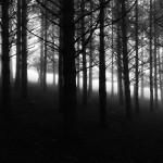 © Dimitris Ouzounis