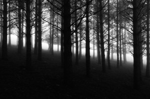 © Dimitris Ouzounis