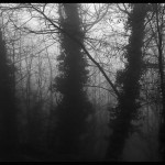 © Dimitris Ouzounis