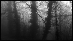 © Dimitris Ouzounis