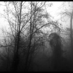 © Dimitris Ouzounis