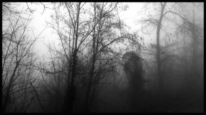 © Dimitris Ouzounis