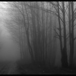 © Dimitris Ouzounis