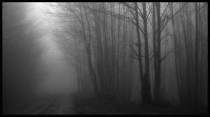 © Dimitris Ouzounis