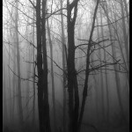 © Dimitris Ouzounis