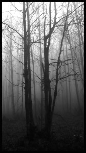 © Dimitris Ouzounis