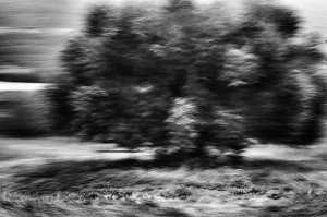 © Dimitris Ouzounis