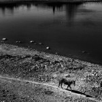 © Dimitris Ouzounis