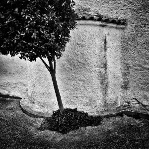 © Dimitris Ouzounis