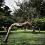 © Dimitris Ouzounis