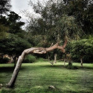 © Dimitris Ouzounis