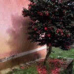 © Dimitris Ouzounis