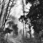 © Dimitris Ouzounis