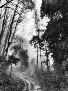 © Dimitris Ouzounis