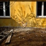 © Dimitris Ouzounis