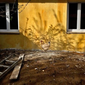 © Dimitris Ouzounis