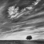 © Dimitris Ouzounis