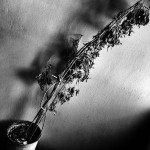 © Dimitris Ouzounis